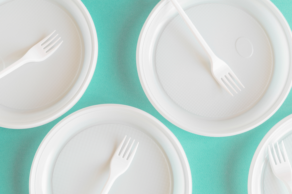 farfurii de unică folosință